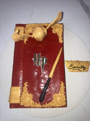 Harrypotter theme